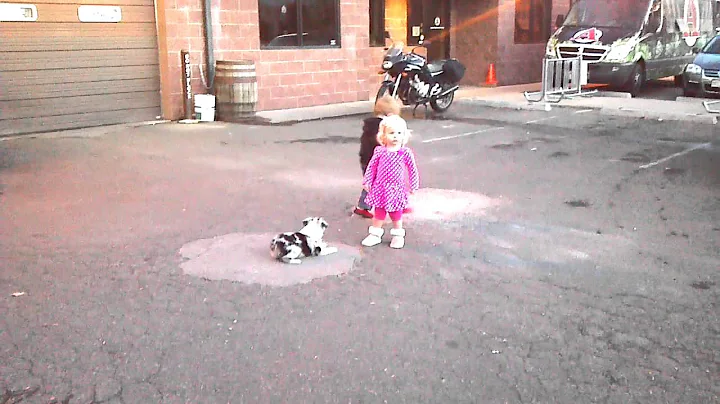 Too much cute