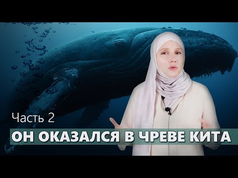 Он оказался в чреве кита. О Пророке Юнусе. Часть 2