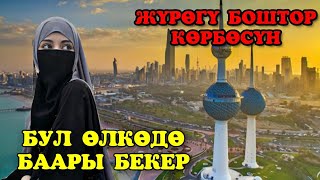 Кувейт - бул өлкөдө баары бекер! Элдерине жөн эле акча берет