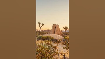 وخشعت الأصوات للرحمن فلا تسمع إلا همسا #تلاوات #تلاوة_خاشعة #مؤثر #ناصر_القطامي