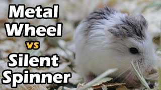 Silent Spinning Hamster Wheel Test
