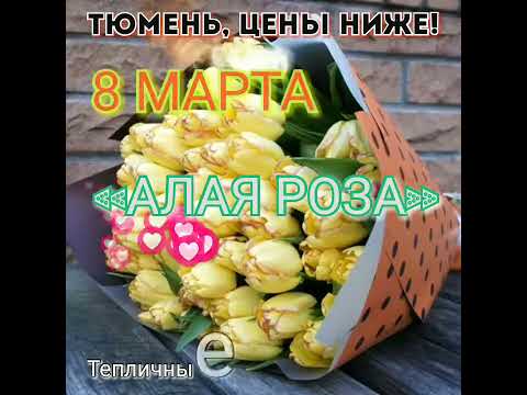Купить Тюльпаны В Тюмени Недорого