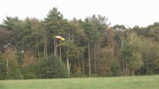8 Year Old Justin Jee - Beam E4 MicroBeast - Heli Phenomenom - 2010-09-25