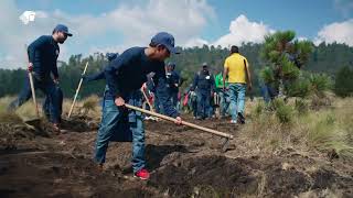 Día Internacional de los Voluntarios