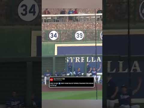 Shohei Ohtani hits