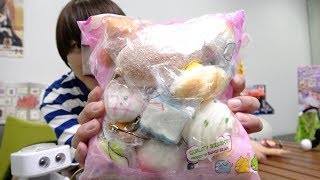 大量スクイーズで遊んでみた！【19時アップ!立石学園】