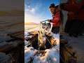 Husky Rescue: Dog Save her Puppy with the help of Rescuer #animals #animalrescue #short #viral