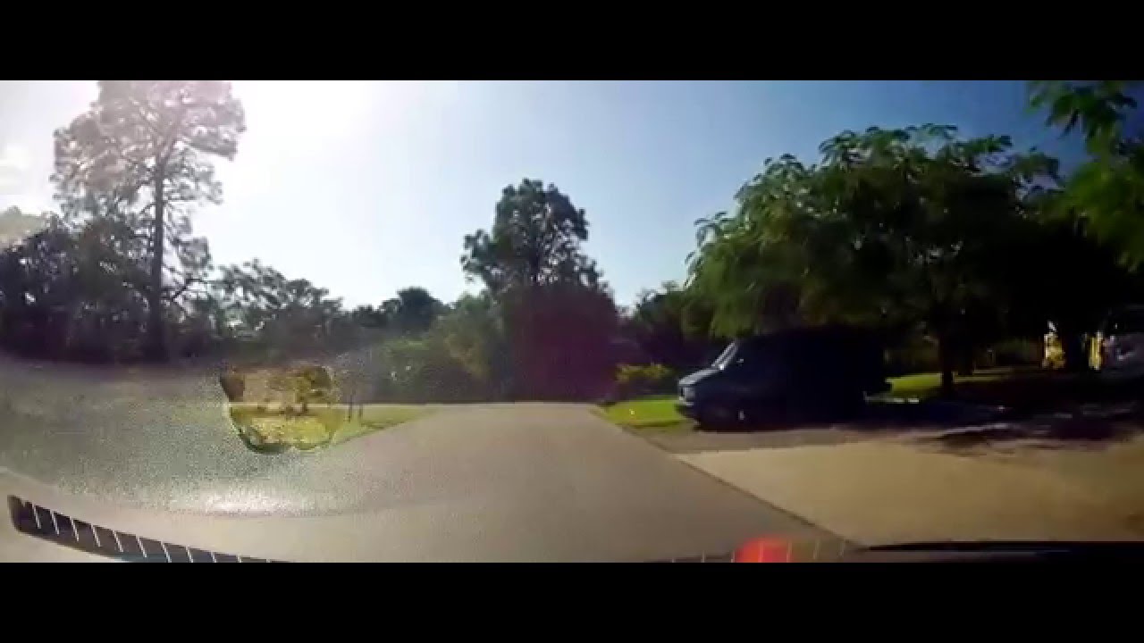 Driving down Jarvis Road in Bonita Springs, Florida YouTube