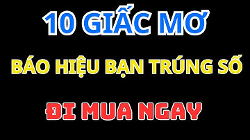10 giấc mơ báo hiệu bạn sắp TRÚNG SỐ ĐẶC BIỆT.Xe và Life.