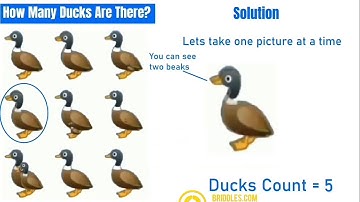 Counting Ducks Whatsapp Video Virul Puzzle