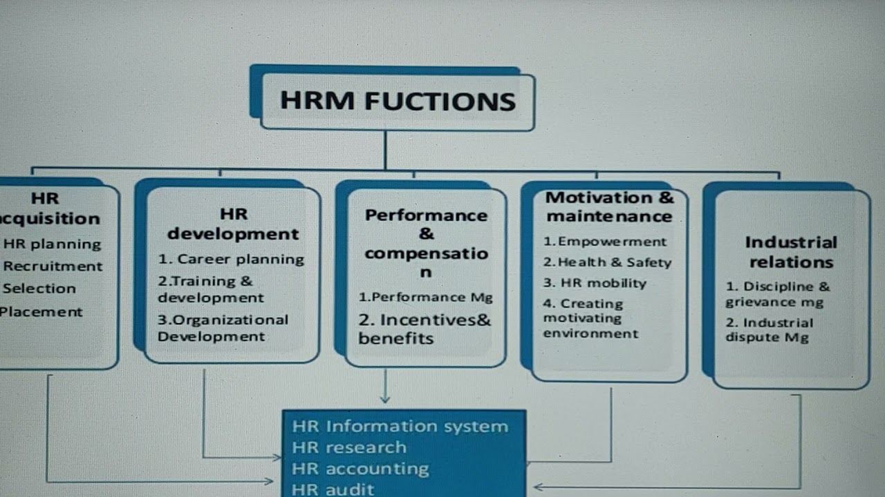 HUMAN RESOURCE MANAGEMENT YouTube