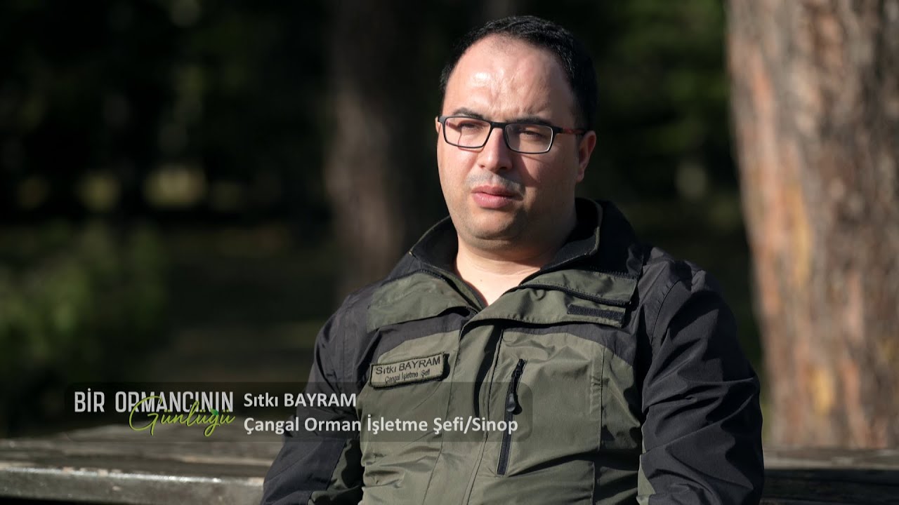 Bir Ormancının Günlüğü 🌳Çangal Orman İşletme Şefliği