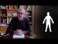 Understanding Human Flight Possibilities