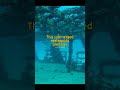 Unexplained Files #13: India's 10,000-Year-Old City: Rewriting History