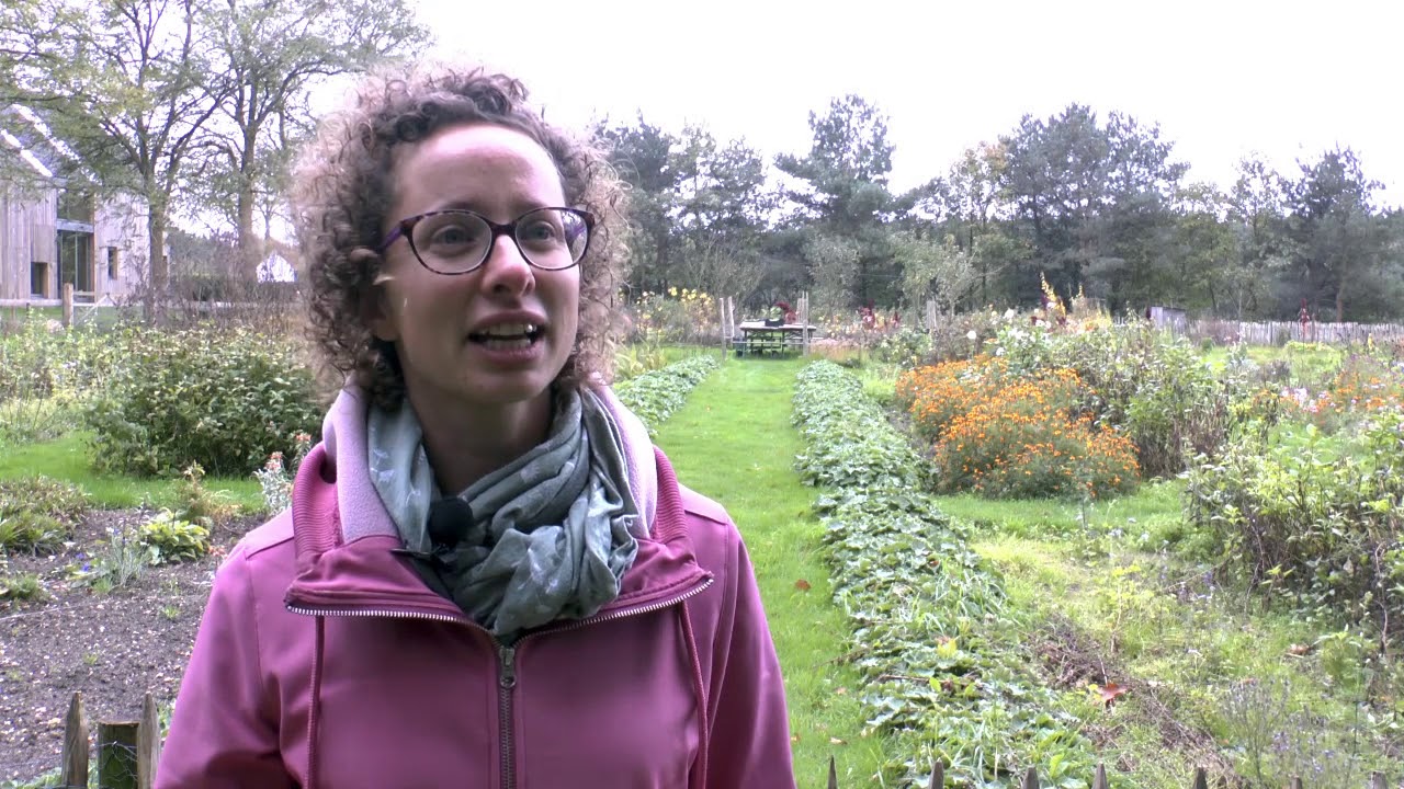 Cursus haal voedsel uit het bos, deel 2, Yvonne Courage