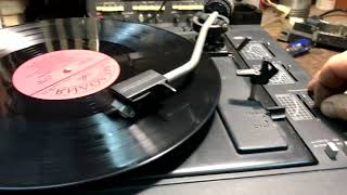 :    . Vinyl player stylus repair.
