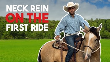 Teaching a Horse to Neck Rein in 10 RIDES or Less – My Method!
