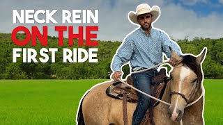 Teaching a Horse to Neck Rein in 10 RIDES or Less - My Method