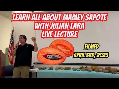 Lecture About Mamey Sapote With Julian Lara Every Variety Explained