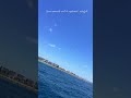 Some moments can’t be explained… only felt. #seaplane #maldives