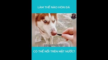 Làm thế nào hòn đá có thể nổi trên mặt nước #shorts #shortvideo #review