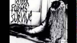 Capricorns - 1977: Blood For Papa