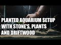 How to Set Up a Stunning Planted Tank | Beginner Aquascaping Tutorial