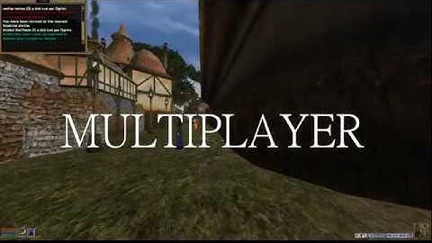 Openmw Tes3mp Ecarlate