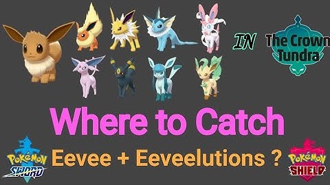 Where to catch Eevee + Eeveelutions in Crown Tundra? | Pokemon Sword & Shield