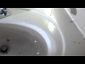 Brown Recluse Spiders in sink