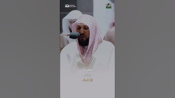 ماتيسر من سورة القصص للشيخ ماهر المعيقلي (قَالَ رَبِّ إِنِّي ظَلَمۡتُ نَفۡسِي)