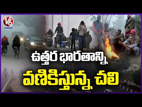Cold Wave and Fog Disrupt life in North India | Winter Season | V6 News