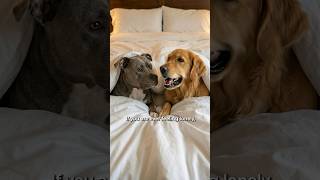 trust us it actually works  👻 follow us for more advice