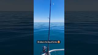 30Miles Out In The Ocean