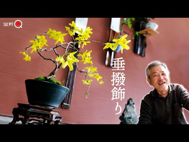 カイズカイブキ　置物台　7点セット 机上ラック（机上台・クランプ固定・2段・木製・幅100cm・小物