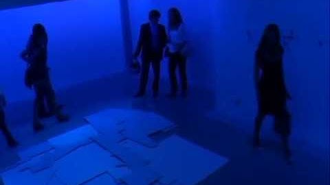 Lisi Raskin | High Positive Void Coefficient