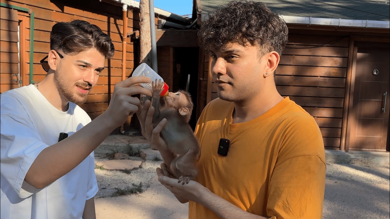 BEBEK MAYMUN BESLEDİK @kekmundo