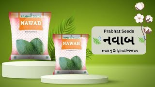 Download Lagu નવાબ કપાસ નું બિયારણ Nawab Cotton, Parbhat Seeds, Full Information #KhetiDiscovery MP3