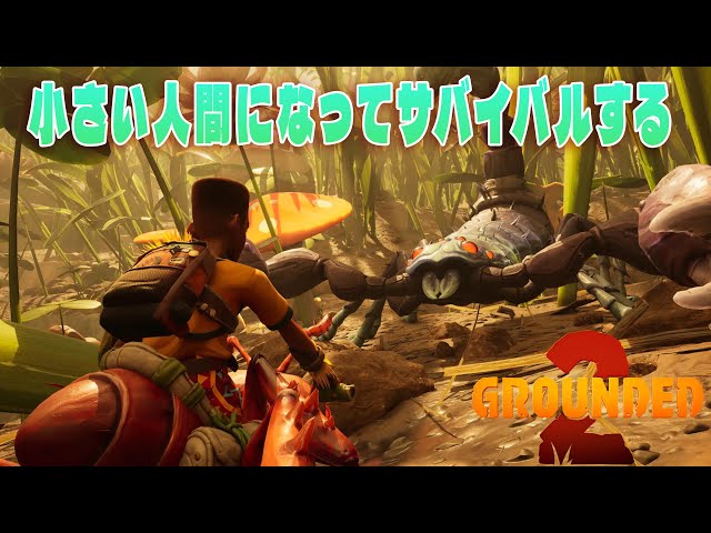 【協力サバイバル】マルチで超巨大昆虫と戦う新作！Grounded 2