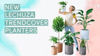 Lechuza Planters, Shop Online