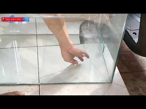 Wowww.. membuat aquarium pake lem Korea .. apa gak bocor tuh. 