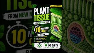 New NCERT Book class 9 Full Plant Tissue In just 10 minutes