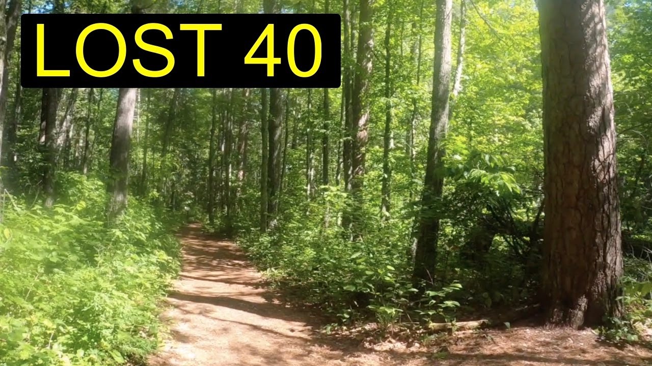 The Lost 40, Northome, MN. Relaxing Hiking Video with Ambient Music