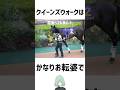 「競馬民から大人気」#ローズステークス に出る馬の意外な雑学