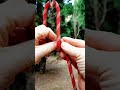 Scarlet Tension! 🔴⚙️ The Instant Friction Loop for Metal Rings