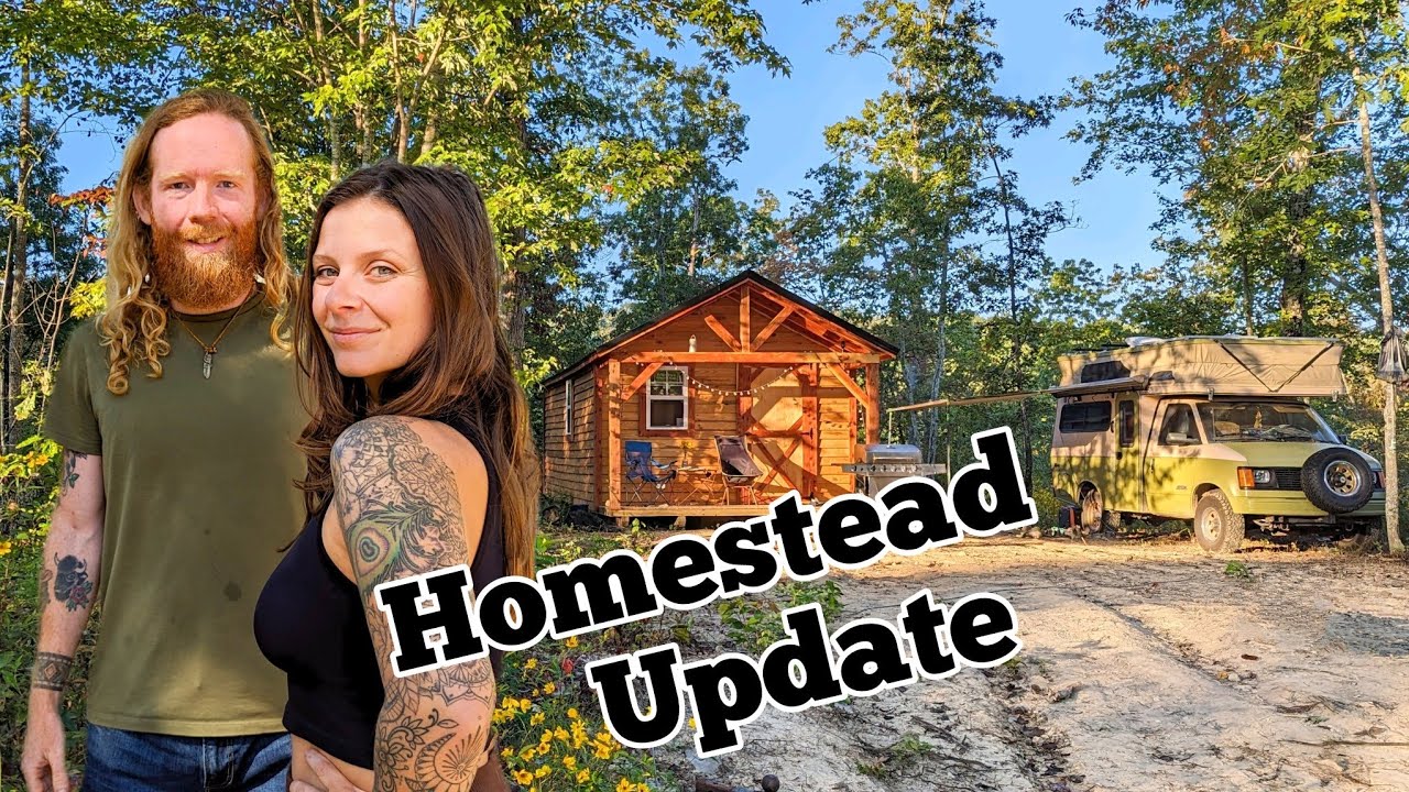 Update from our Homestead | Living simply on our land - YouTube