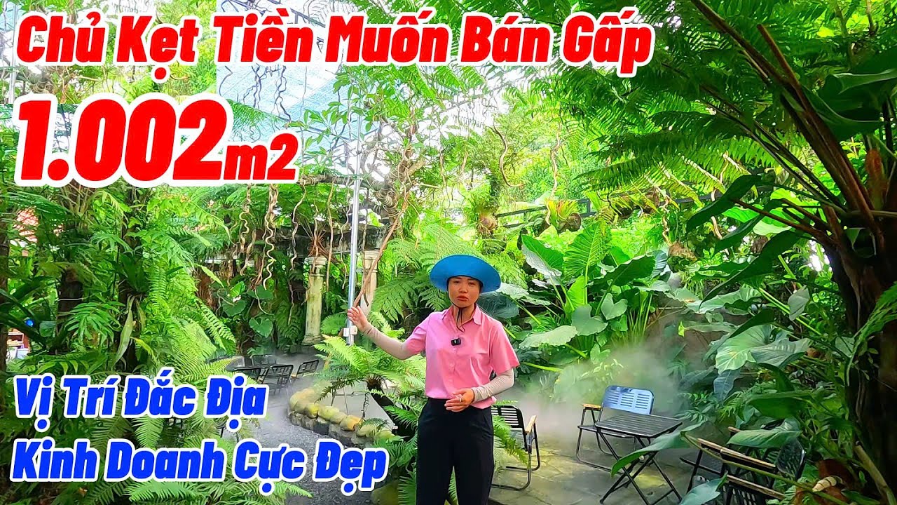 Chủ Cần Tiền Bán Gấp Vị Trí Kinh Doanh Cực Đẹp tại Trảng Bom | NHÀ ĐẤT ĐỒNG NAI GIÁ RẺ