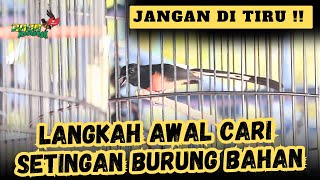 FIRST STEPS TO FIND A MURAI BATU SETTING ‼️