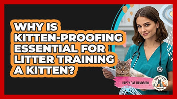 Why Is Kitten-proofing Essential For Litter Training A Kitten? - Happy Cat Handbook