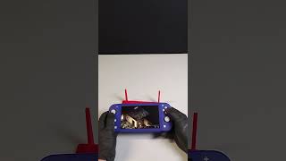 Modded Nintendo Switch | RP2040 Picofly Chip | 128GB SD Card | DBI installer | Disco Elysium